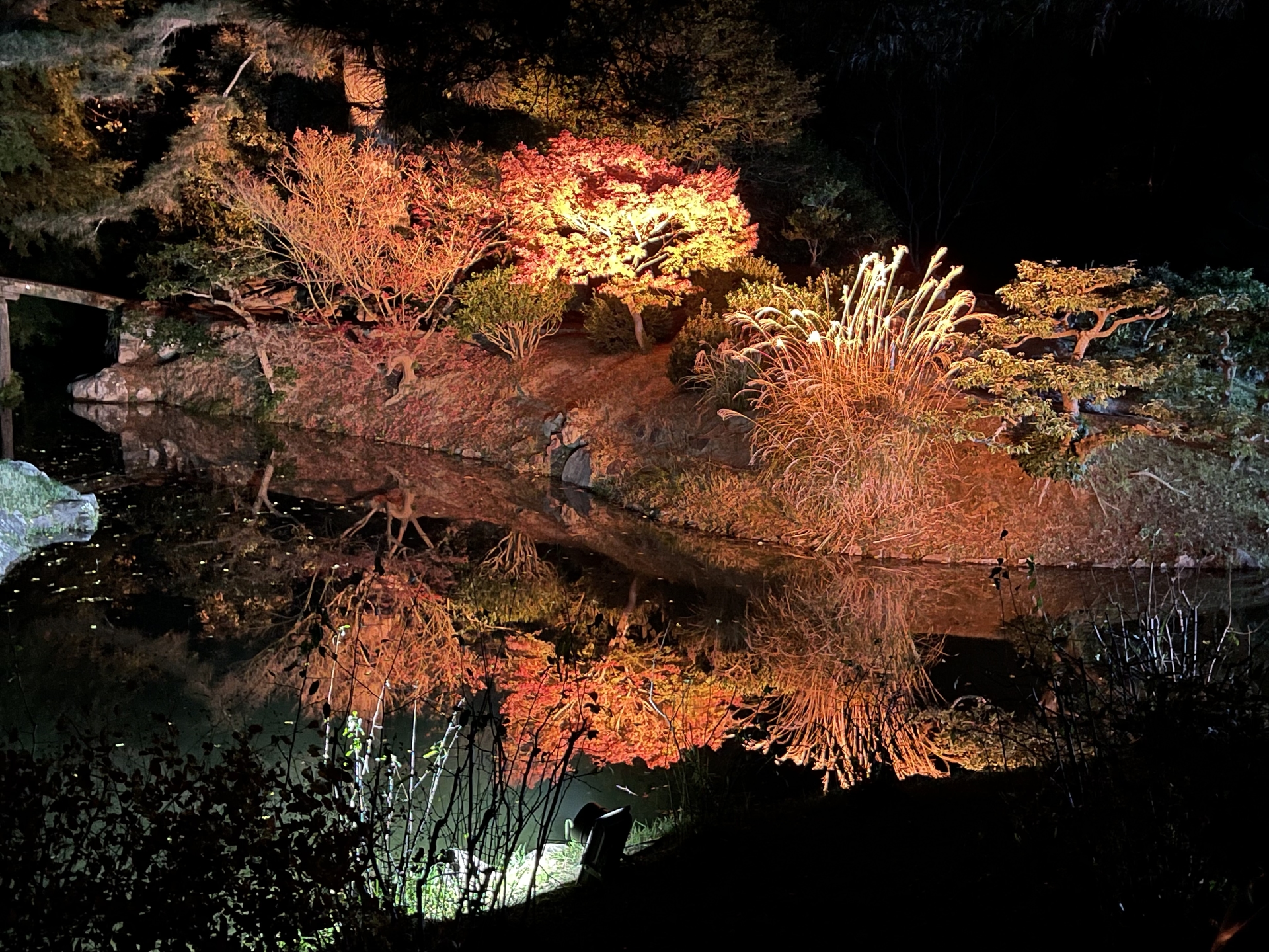 栗林公園 ライトアップに行って来ました✨